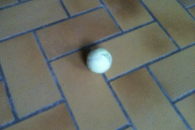 Tennis Ball: Bounce