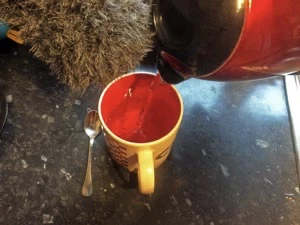 Hot water in mug