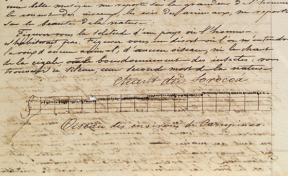 Zoophonic score by Hercule Florence