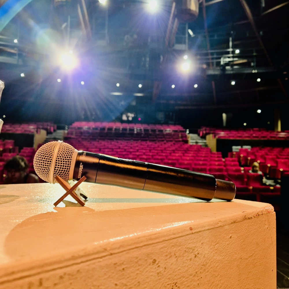 Mic-Rest, photo 4