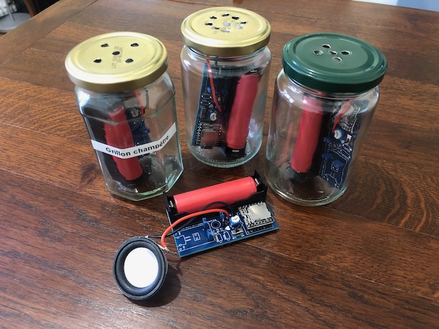 Mes modules "Sauvages"