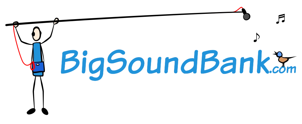 The current BigSoundBank.com logo
