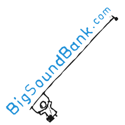 Logo bsb carre 250