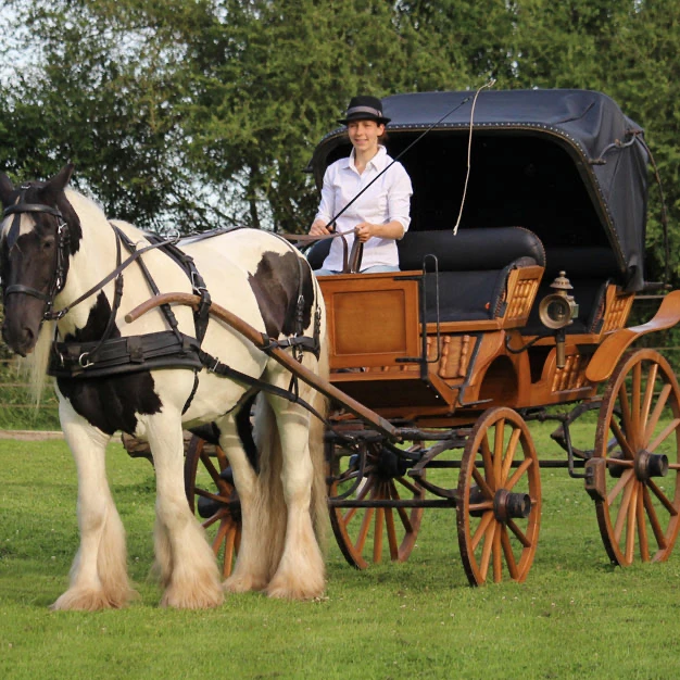 Carriage